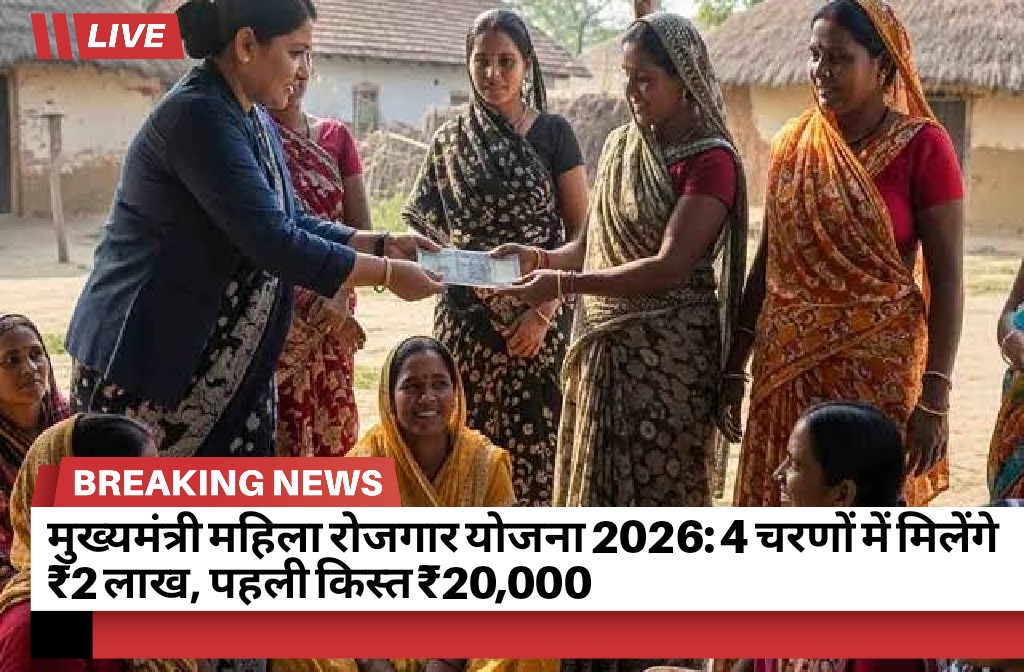 Chief Minister Employment